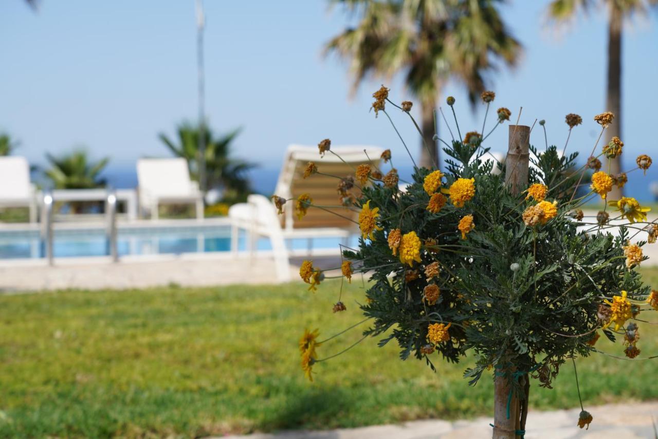 Aneria Suites Episkopi-Chania Extérieur photo